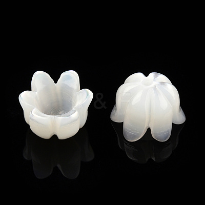 Natural White Shell Bead Caps SSHEL-N032-58A-1