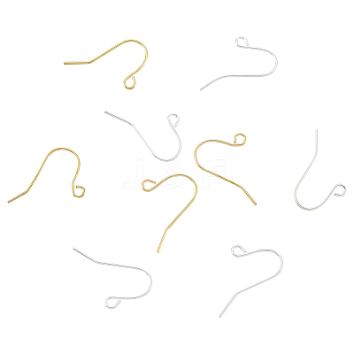 Iron Earring Hooks IFIN-TA0001-21-1