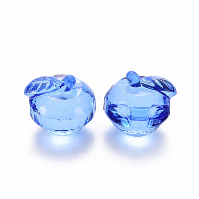 Transparent Acrylic Pendants TACR-T024-05B-940-1