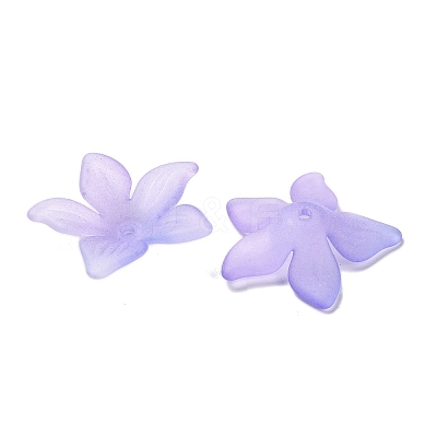 Transparent Acrylic Beads Caps OACR-B022-02A-1