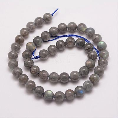 Natural Labradorite Bead Strands G-P259-03-8mm-1