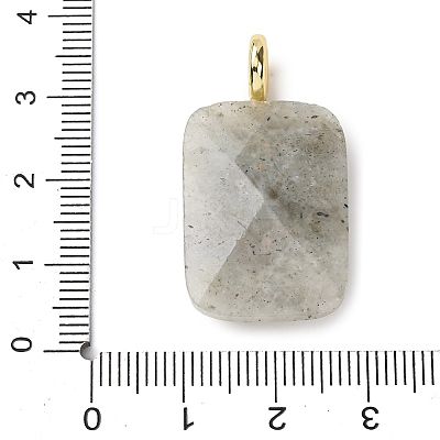 Natural Labradorite Faceted Pendants G-B186-01G-01-1
