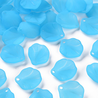 Transparent Frosted Acrylic Pendants MACR-S371-02A-755-1
