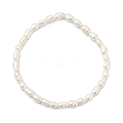 Natural Cultured Freshwater Pearl Beaded Stretch Bracelets for Women BJEW-JB13706-1