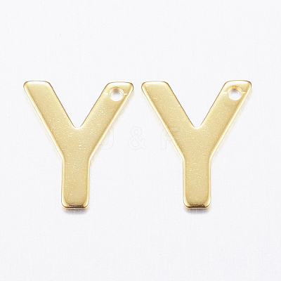 304 Stainless Steel Charms X-STAS-P141-Y-1