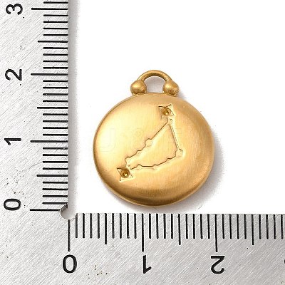 304 Stainless Steel Pendants STAS-L022-306MG-10-1