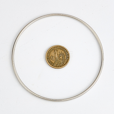10Pcs Iron Ring for DIY Woven Net/Web with Feather IFIN-SP0001-56A-P-1