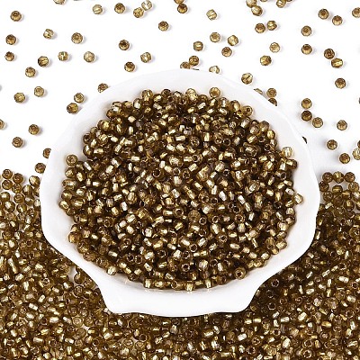 Silver Lined Glass Seed Beads SEED-T007-18A-11-1