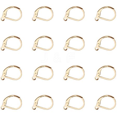 304 Stainless Steel Leverback Earring Findings STAS-PH0018-28G-1