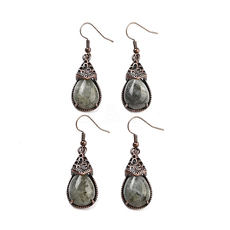 Natural Labradorite Teardrop Dangle Earrings EJEW-B055-01R-22-1