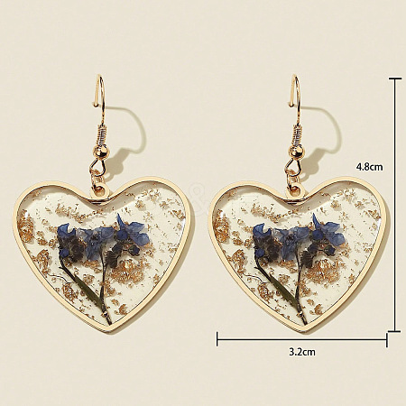 Heart Alloy Resin Dangle Earrings FS-WG72C44-06-1
