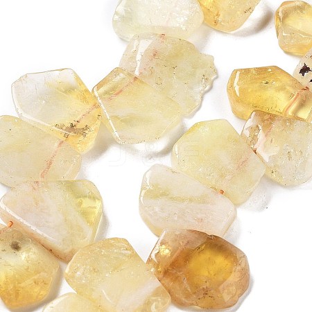 Natural Citrine Beads Strands G-P528-K07-01-1