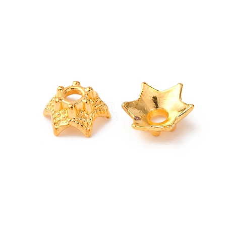 Tibetan Style Bead Caps LS-AA188-G-NR-1