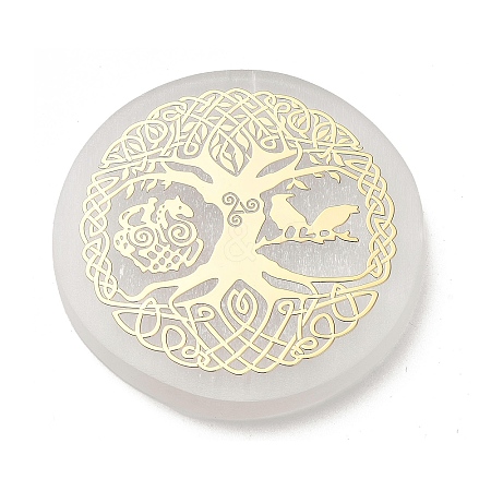 Flat Round Natural Selenite Slice Coasters AJEW-C042-01E-1
