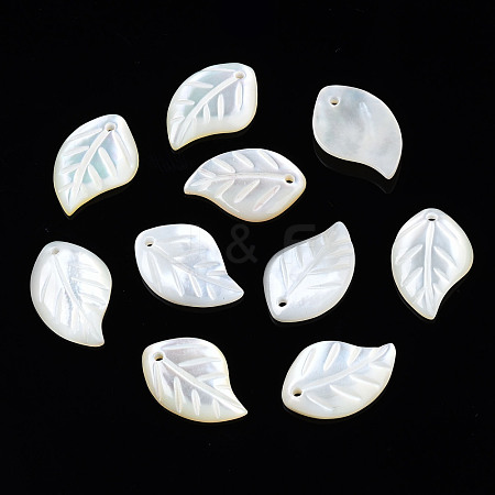 Natural White Shell Pendants SSHEL-S258-100C-1