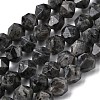 Natural Larvikite Beads Strands G-Z119-A32-03-3