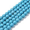 Natural Howlite Beads Strands G-C180-15B-1