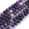 Natural Lepidolite/Purple Mica Stone Beads Strands X-G-K415-8mm-2