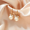 Chic Alloy Rhinestone Dangle Earrings BQ4899-4