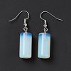 Gemstone Cylindrical Dangle Earrings EJEW-D188-01P-4