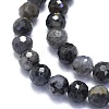 Natural Iolite Beads Strands G-K310-A15-8mm-3