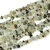 Prehnite Chip Bead Strands G-M205-11-1