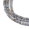 Natural Freshwater Shell Beads Strands X-SHEL-P017-01A-13-3