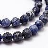 Natural Sodalite Beads Strands G-D840-19-8mm-3