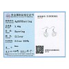 925 Sterling Silver Dangle Earrings EJEW-BB30641-2