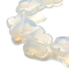 Opalite Beads Strands G-F769-E01-02-4
