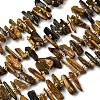 Natural Pietersite Beads Strands G-L649-D03-02-2