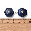 Dyed Natural Lapis Lazuli Pendants G-P588-02G-05-3
