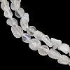 Natural Rainbow Moonstone Beads Strands G-Q060-D12-4