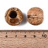 Natural Picture Jasper Beads G-Q608-05F-3
