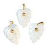 Opalite Pendants GG-CBA105B-01I-G-1