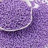 8/0 Baking Paint Glass Seed Beads SEED-M012-02A-47-1