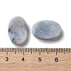 Natural Ocean Agate/Ocean Jasper Cabochons G-B138-04D-3
