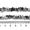 Natural Tourmalinated Quartz Chip Beaded Necklaces for Men Women NJEW-G159-01R-5