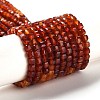 Natural Carnelian Beads Strands G-Q002-C01-02-1