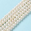 Natural Pearl Beads Strands PEAR-E018-74-2