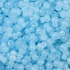 Transparent Colours Glass Seed Beads SEED-R001-01P-2