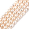 Natural Cultured Freshwater Pearl Beads Strands PEAR-I007-01D-07C-2