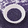 MIYUKI Delica Beads SEED-MY11-DB1756-2