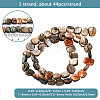 1 Strand Natural Paua Shell Beads Strands BSHE-PA0001-07-2