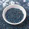 MIYUKI Round Rocailles Beads SEED-G008-RR0249-2