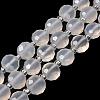 Natural White Agate Beads Strands G-B153-B02-3