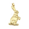 Rack Plating Brass Pendants KK-K401-66G-1