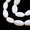 Natural Freshwater Shell Beads Strands SHEL-N026-212-A01-2