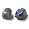 Natural Sodalite Beads G-M368-05A-2