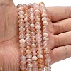 Natural Cherry Blossom Agate Beads Strands G-Z111-A40-2